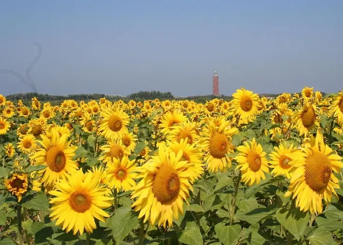 Huijsmansverhuur Type Premium De Luxe Grevelingen 13 Ferienhaus Ouddorp